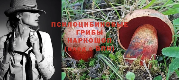 стаф Алексин