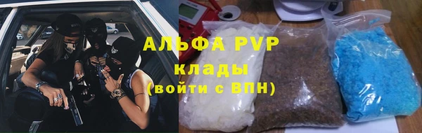 стаф Алексин