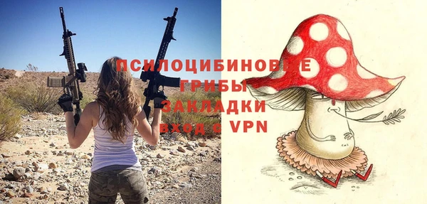 стаф Алексин