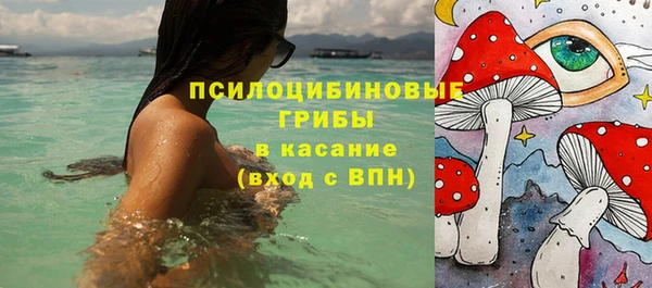 стаф Алексин