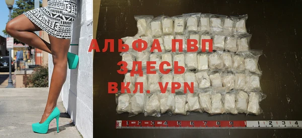 стаф Алексин